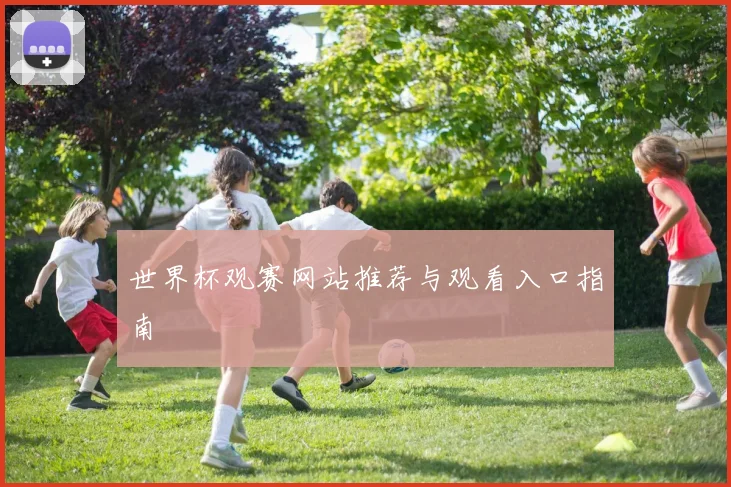 世界杯观赛网站推荐与观看入口指南