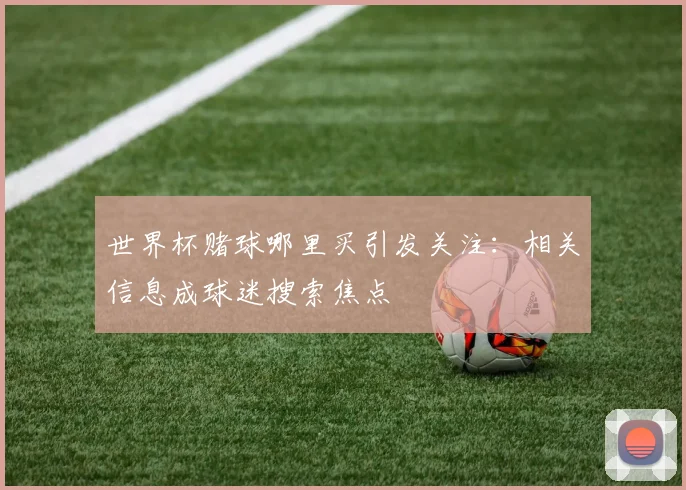 世界杯赌球哪里买引发关注：相关信息成球迷搜索焦点