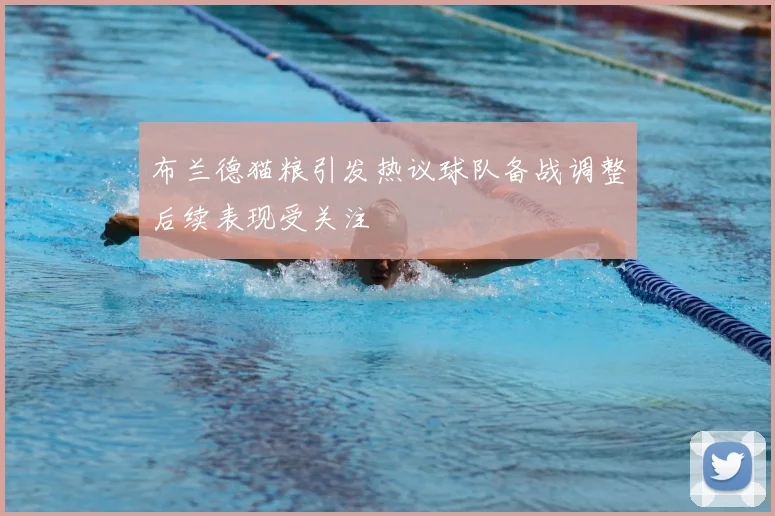 布兰德猫粮引发热议球队备战调整后续表现受关注