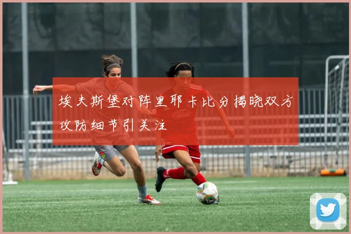 埃夫斯堡对阵里耶卡比分揭晓双方攻防细节引关注