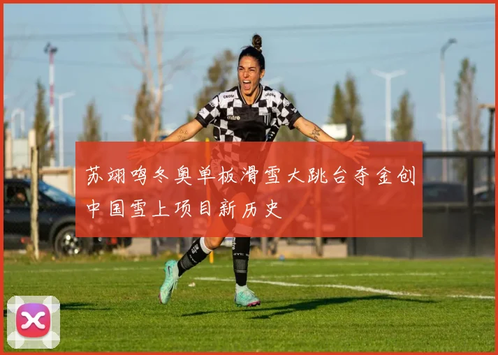苏翊鸣冬奥单板滑雪大跳台夺金创中国雪上项目新历史