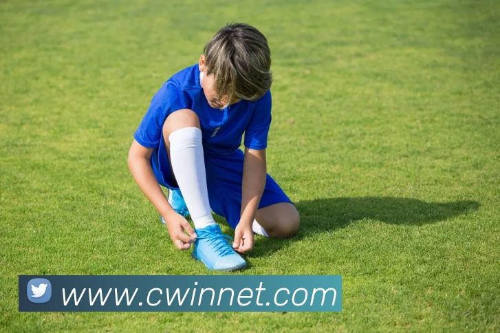 巅峰国际app苹果官网平台生态图